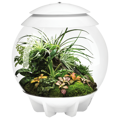 BiOrb Air 30l Terrarium - bílá