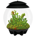 BiOrb Air 30l Terrarium - černé
