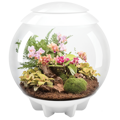 BiOrb Air Terrarium 60l - bílá