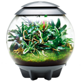 BiOrb Air Terrarium - šedá