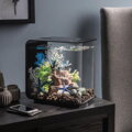 BiOrb FLOW černé 30l MCR
