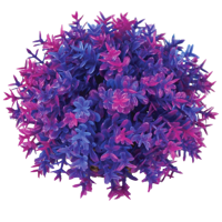 Rostliny biOrb
