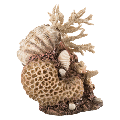 biOrb Coral-Shells Ornament natural 22 cm