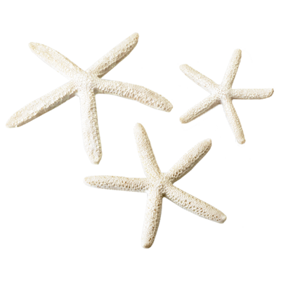 biorb hvězdice - bílé 12, 10, 8 cm
