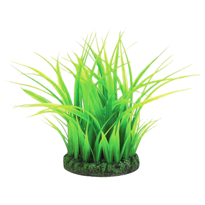 biOrb Grass Ring zelená 15 cm