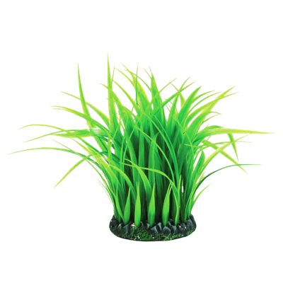 biOrb Grass Ring zelená 21 cm