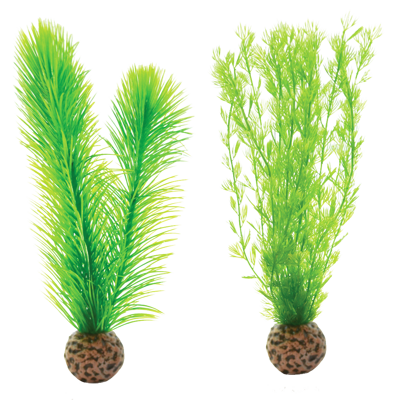 biOrb Green Feather Fern Set zelená 20,5 cm