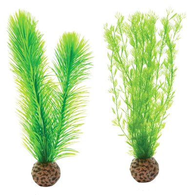 biOrb Green Feather Fern Set zelená 20,5 cm
