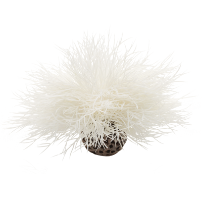 biOrb Sea Lilies bílá 11cm