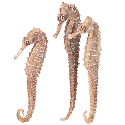 biorb Seahorse 3 pack natural