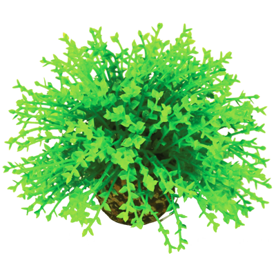 biOrb Topiary Ball - Green 5cm