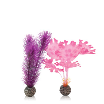 biOrb Pink Kelp Set 20 cm