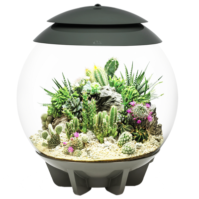 BiOrb Air 30 Terrarium - šedé