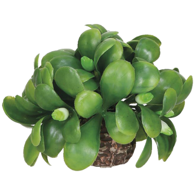 biOrb Mistletoe Ball
