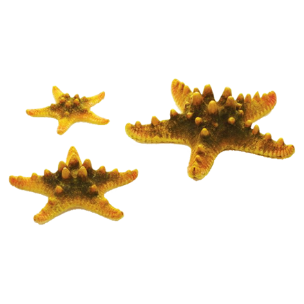 biOrb Sea - set hvězdic - žluté 10, 8 a 5 cm