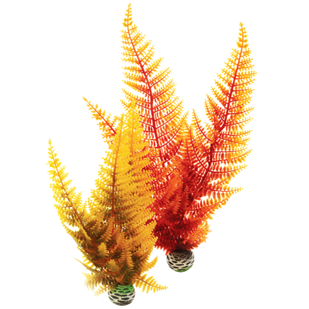 biOrb Autumn Fern Set oranžová 29 cm