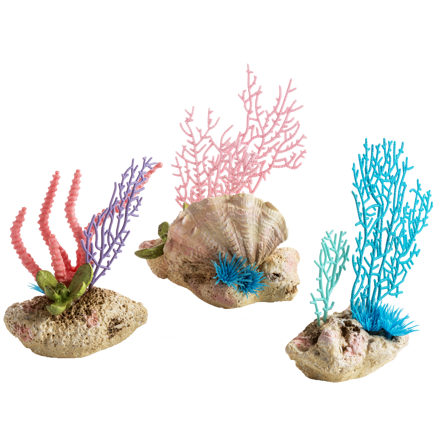 biOrb coral fans & shells set