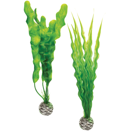 biOrb Plant Pack Set zelená 29 cm