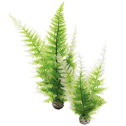 biOrb Winter Fern Set zelená 29 cm