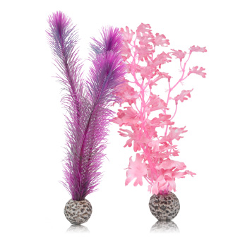 biOrb Pink Kelp Set 29 cm