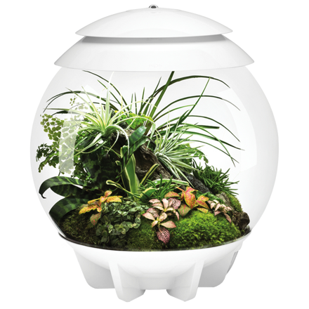 BiOrb Air 30l Terrarium - bílá