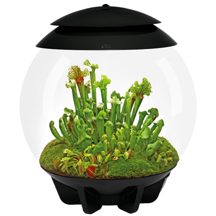 BiOrb Air 30l Terrarium - černé