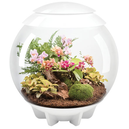 BiOrb Air Terrarium 60l - bílá