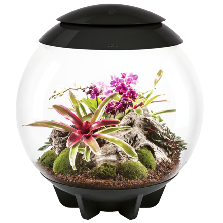 BiOrb Air Terrarium 60l - černé