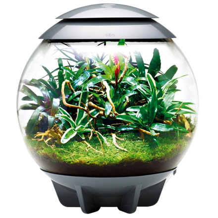 BiOrb Air Terrarium - šedá