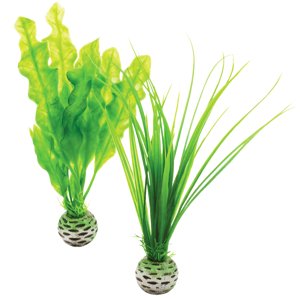 biOrb Plant Pack Set zelená 20 cm