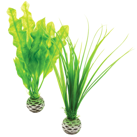 biOrb Plant Pack Set zelená 20 cm